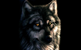 wolf-fantasy-wide-wallpaper-492994